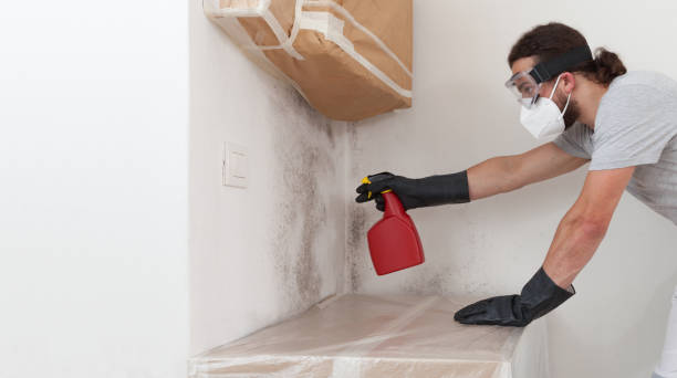 Professional Mold Testing technician working in Gowen, MI