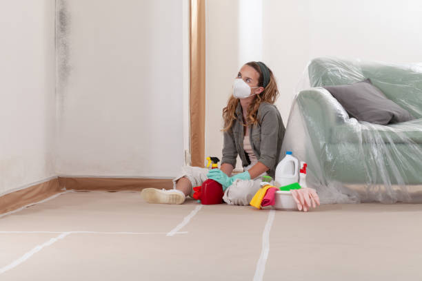 Reliable Mold Testing contractor in Gowen, MI by WQB Mold Removal